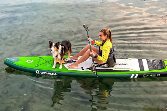 HOW TO START PADDLEBOARDING WITH YOUR DOG? - WOWSEA SUP