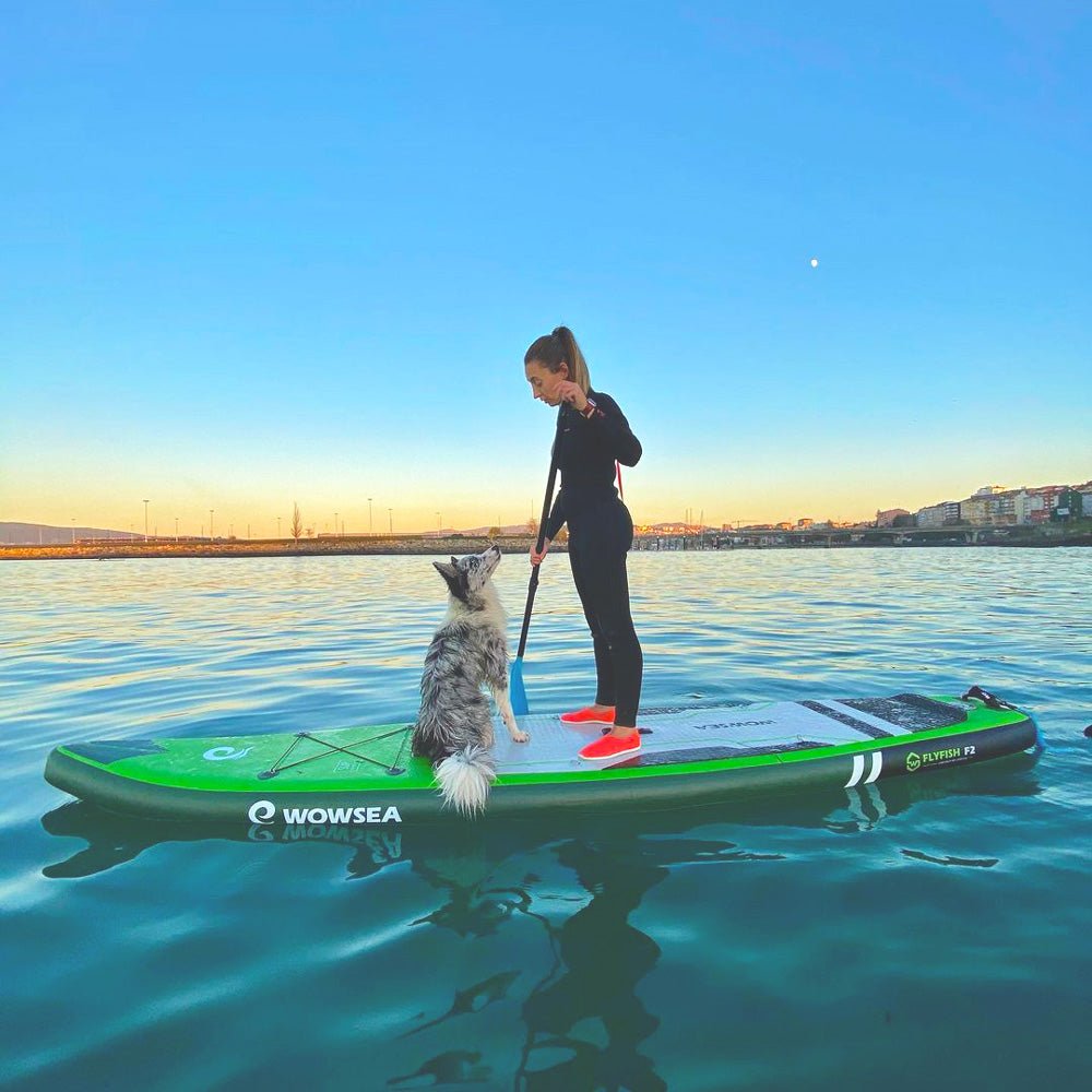 Flyfish F2 12'/366cm SUP Paddle Board Package - wowseasup