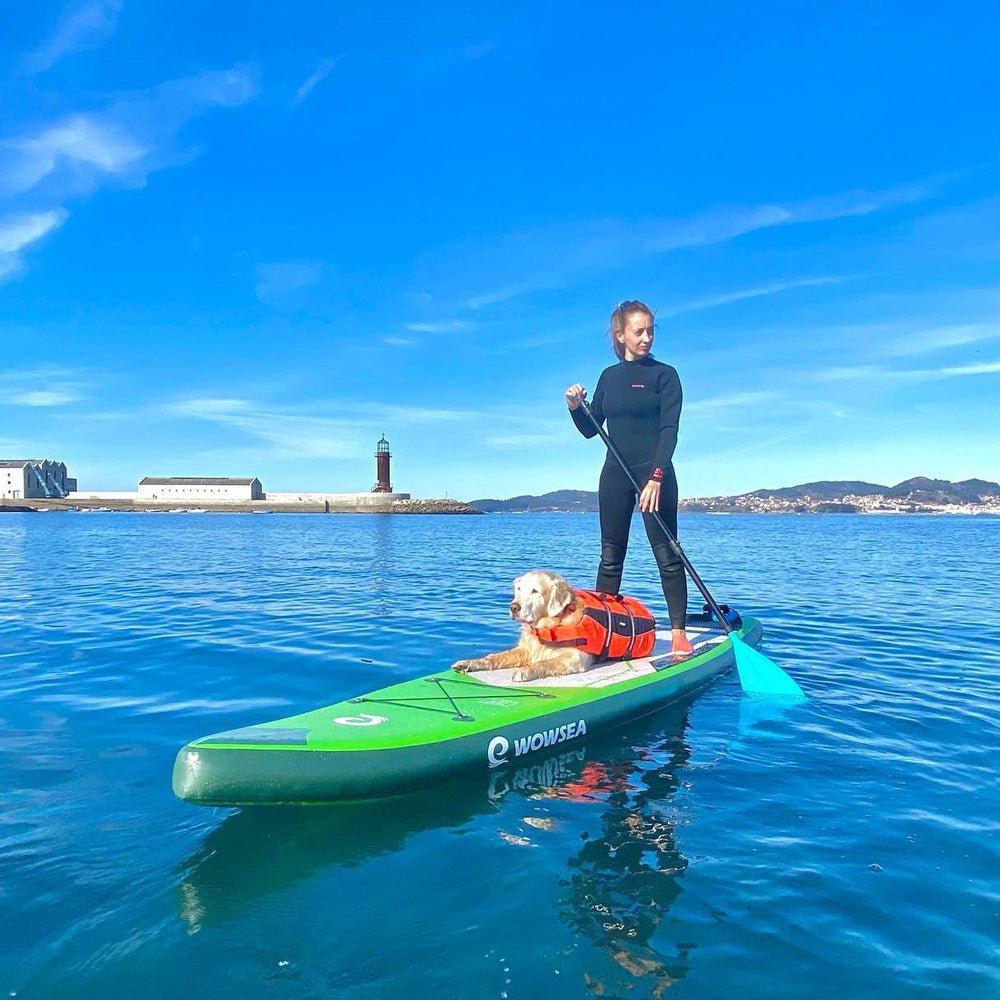 Flyfish F2 12'/366cm SUP Paddle Board Package - wowseasup