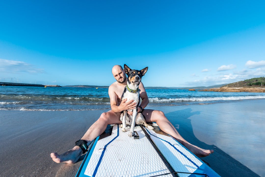 Incorporate Paddleboards Into My Dogs Training Classes - WOWSEA SUP