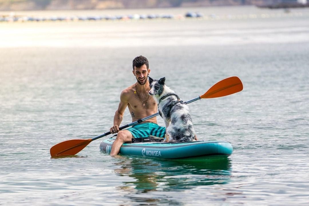 The Ultimate Beginner's Guide to Dog Paddle Boarding - WOWSEA SUP