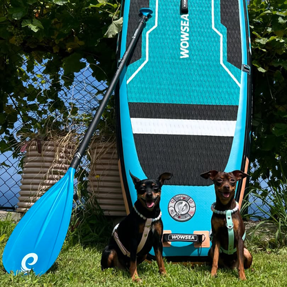 3-Piece Adjuestable Fiberglass Paddle