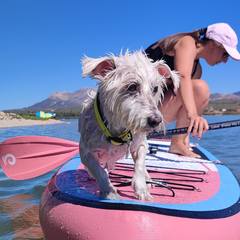 3-Piece Adjuestable Fiberglass Paddle