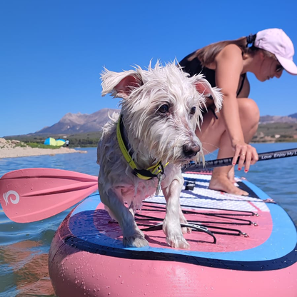 3-Piece Adjuestable Fiberglass Paddle