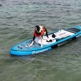 Poseidon P2 10'8"/329cm SUP Paddle Board Package - wowseasup
